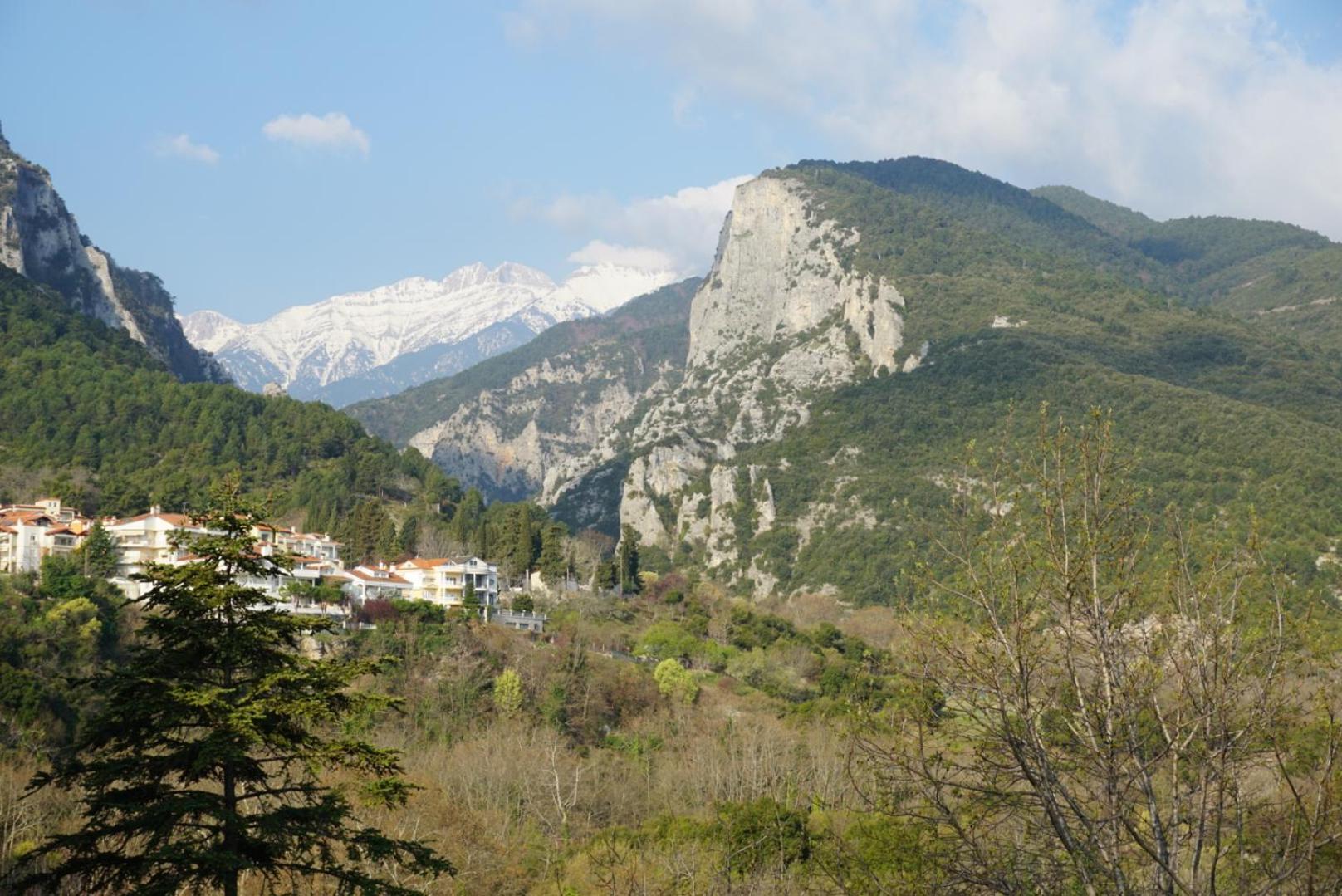 Ενοικιαζόμενα Δωμάτια Ενιπεύς- Rooms Enipeas Litochoro Exterior photo